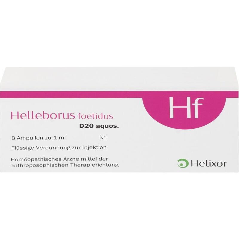 HELLEBORUS FOETIDUS aquos. D 20 Ampullen