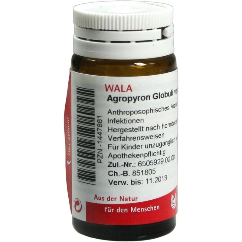AGROPYRON Globuli velati