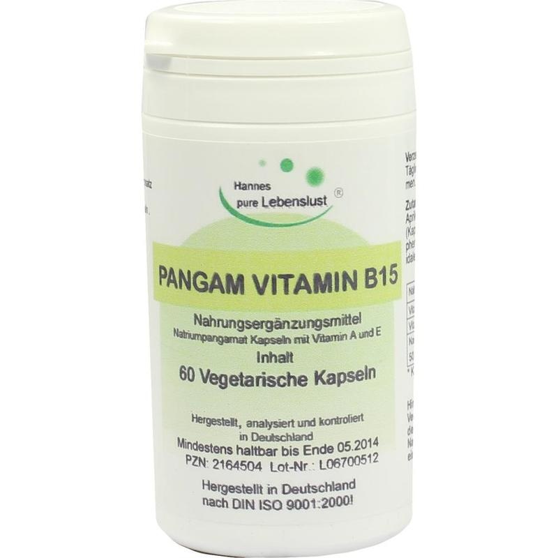 PANGAM Vitamin B15 Kapseln