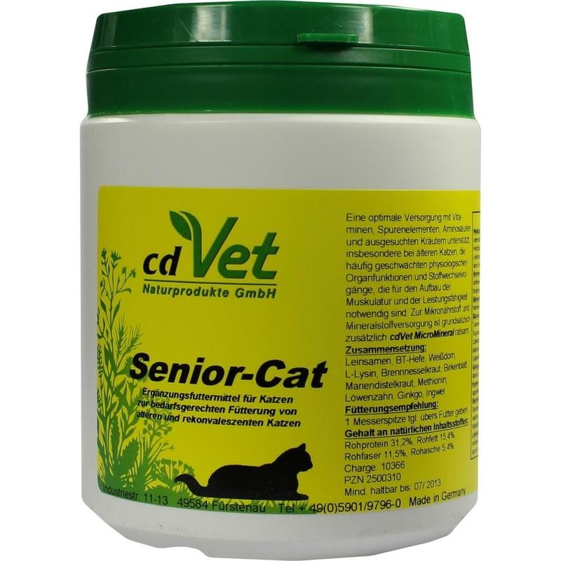 SENIOR Cat