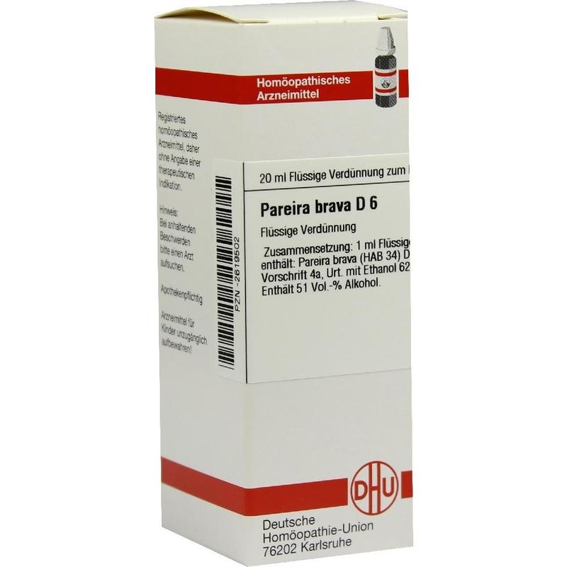 PAREIRA BRAVA D 6 Dilution