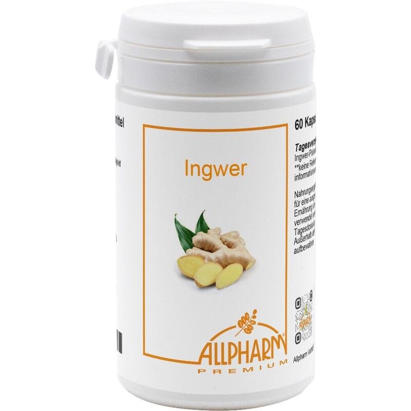 INGWER KAPSELN 300 mg
