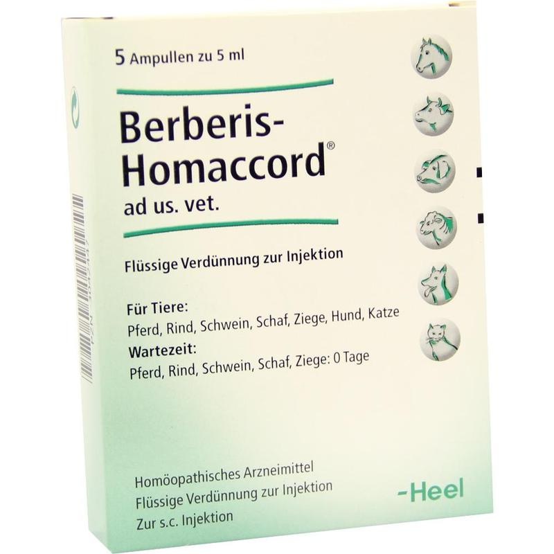 BERBERIS HOMACCORD ad us.vet.Ampullen