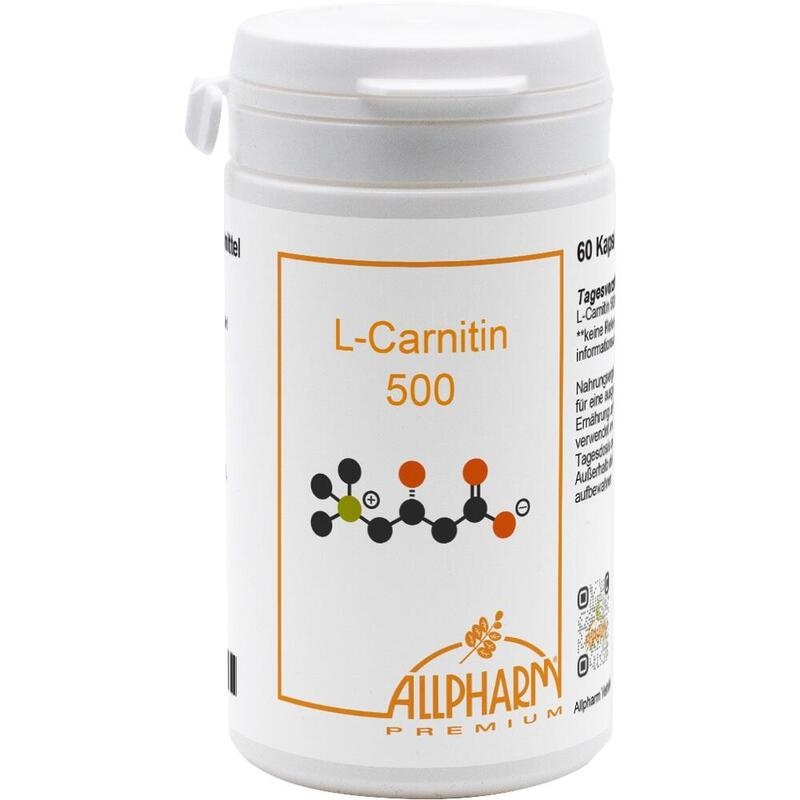 L-CARNITIN 500 mg Kapseln