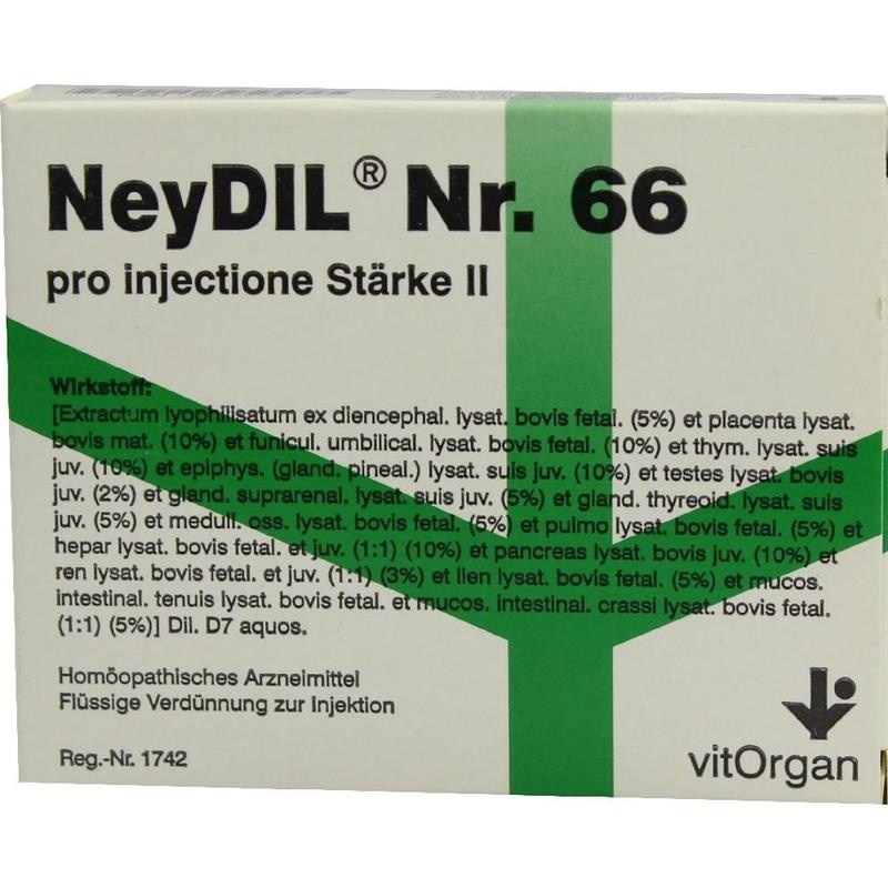 NEYDIL Nr.66 pro injectione St.2 Ampullen