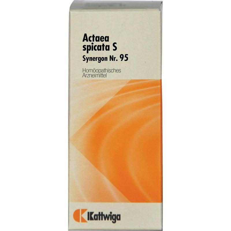 SYNERGON KOMPLEX 95 Actaea spicata S Tropfen