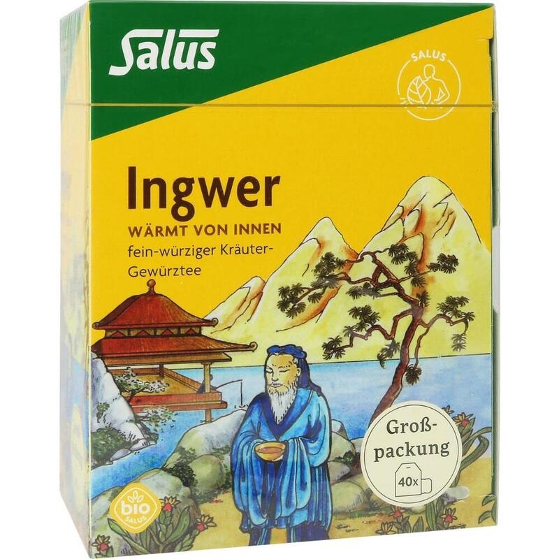 INGWER KRÄUTER-GEWÜRZTEE-Mischung Bio Salus Fbtl.