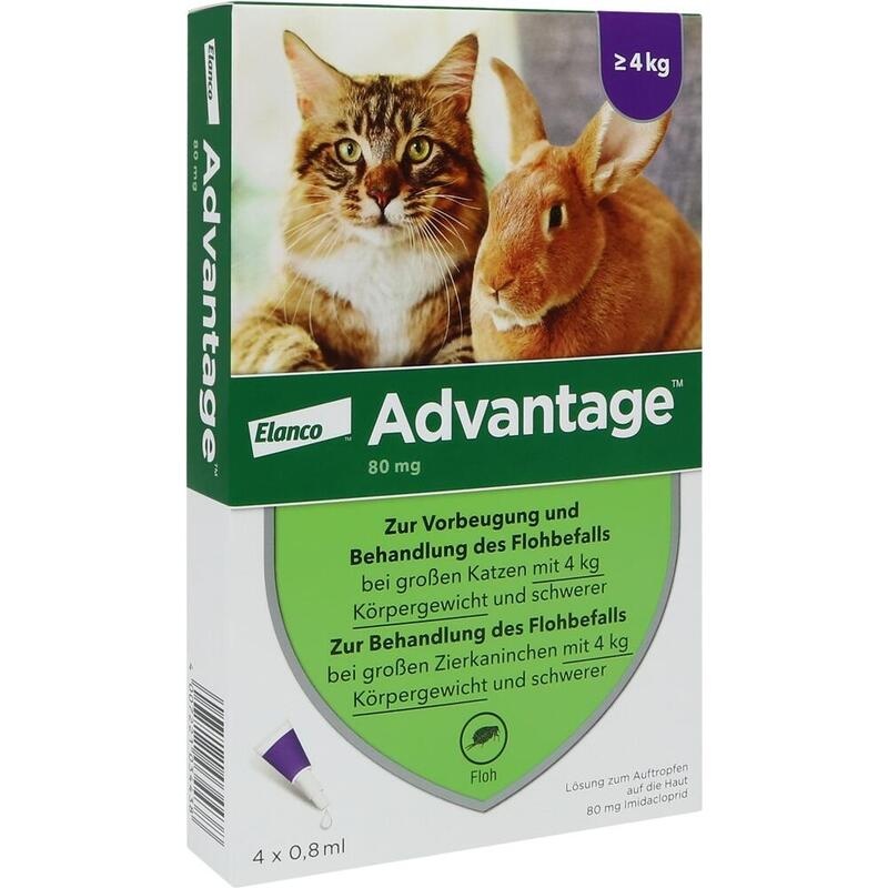 Advantage Spot-on 80 für große Katzen & Zierkaninchen 4–8 kg – Gegen Flöhe