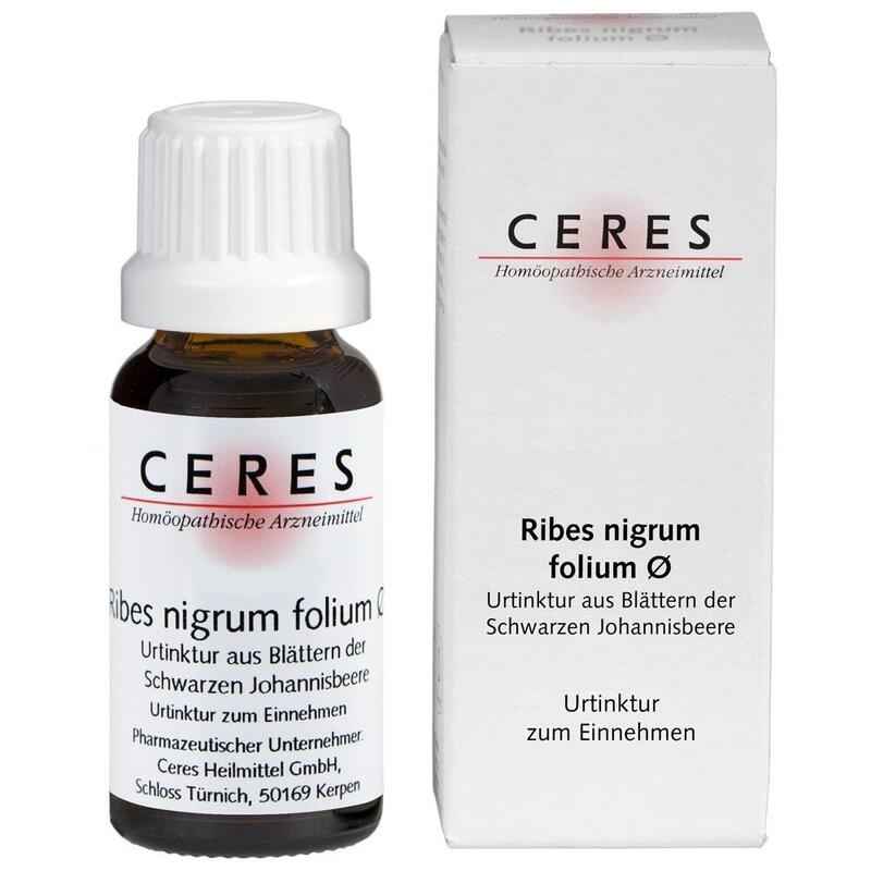 CERES Ribes nigrum folium Urtinktur