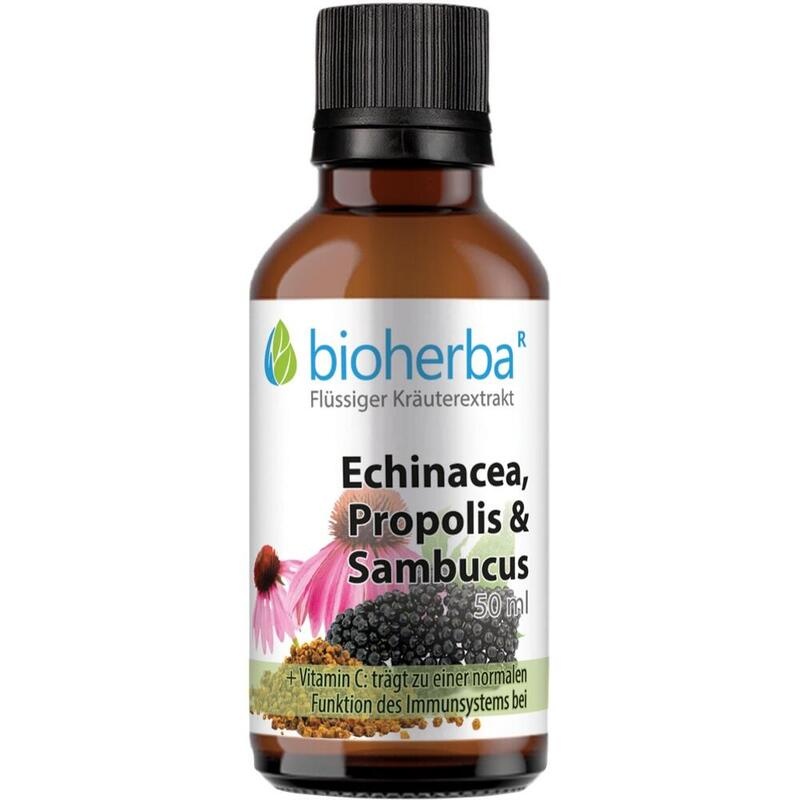 ECHINACEA PROPOLIS und Sambucus Tinktur