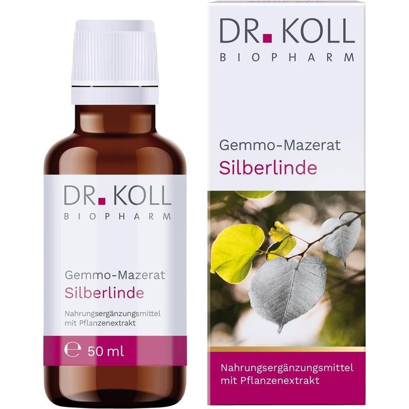 GEMMO-MAZERAT Silberlinde Dr.Koll Tilia tomen.Tro.