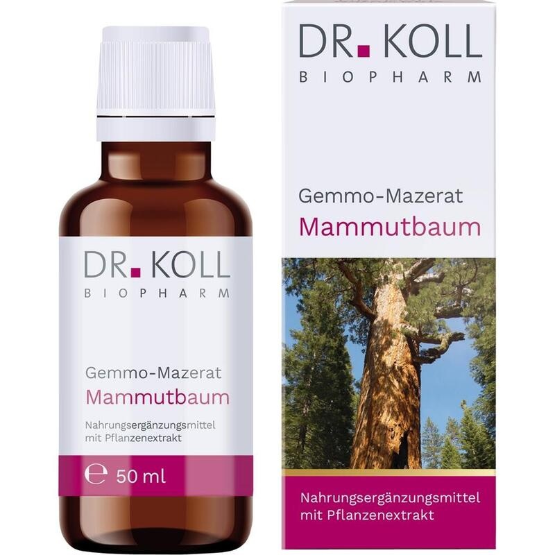 GEMMO-MAZERAT Mammutbaum Dr.Koll Sequoia giga.Tro.