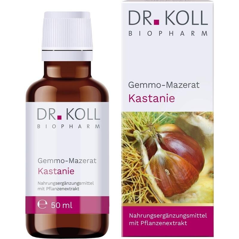 GEMMO-MAZERAT Kastanie Dr.Koll Castanea vesca Tro.